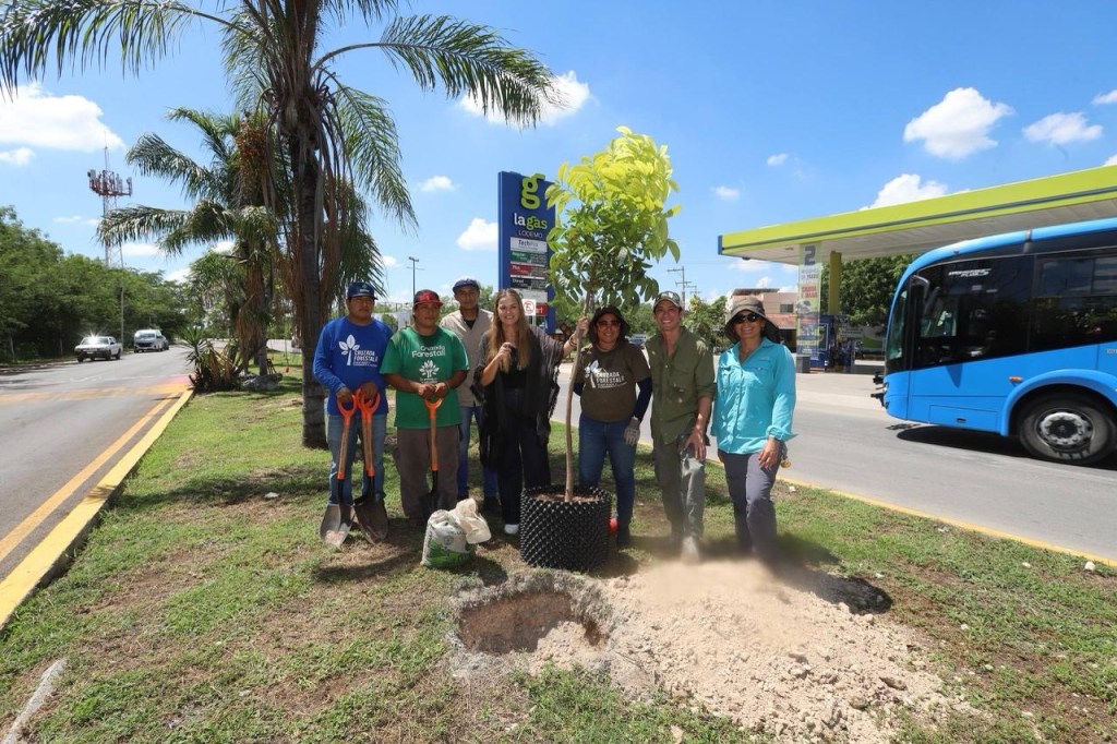 Mérida fortalece su Infraestructura Verde: más árboles, biocorredores y participación ciudadana