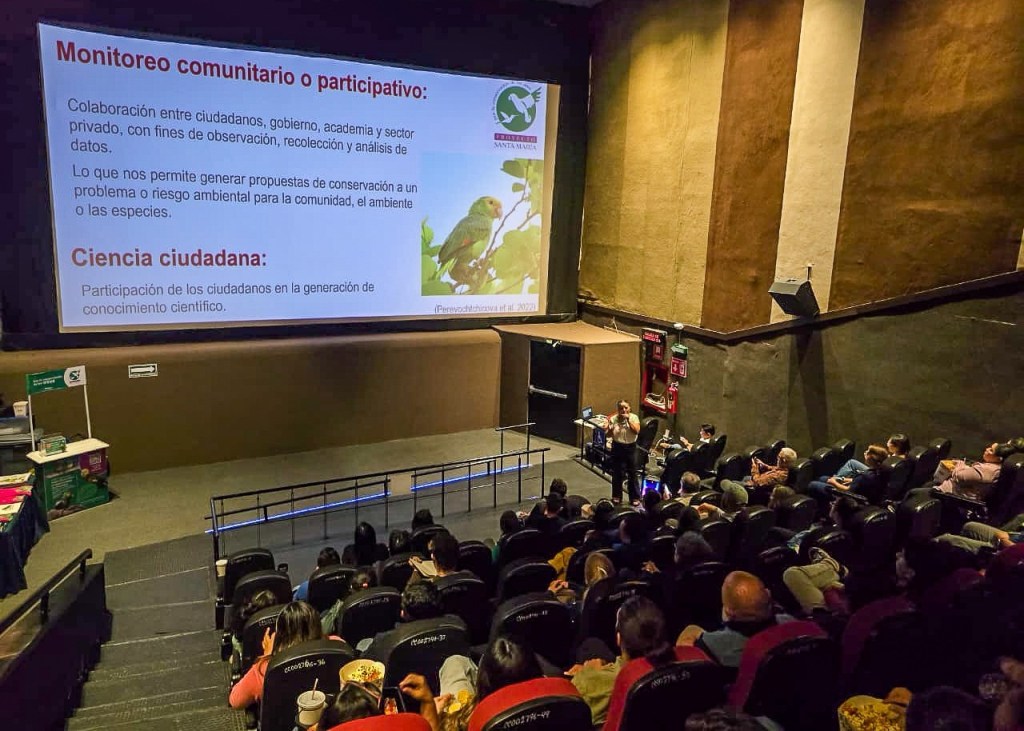 Detectan nueve especies de loros, pericos y guacamayas en Mérida; alertan por presencia de especie&nbsp;invasora