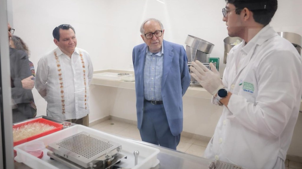 Supervisan en UADY estrategia del “mosquito bueno” contra el&nbsp;dengue